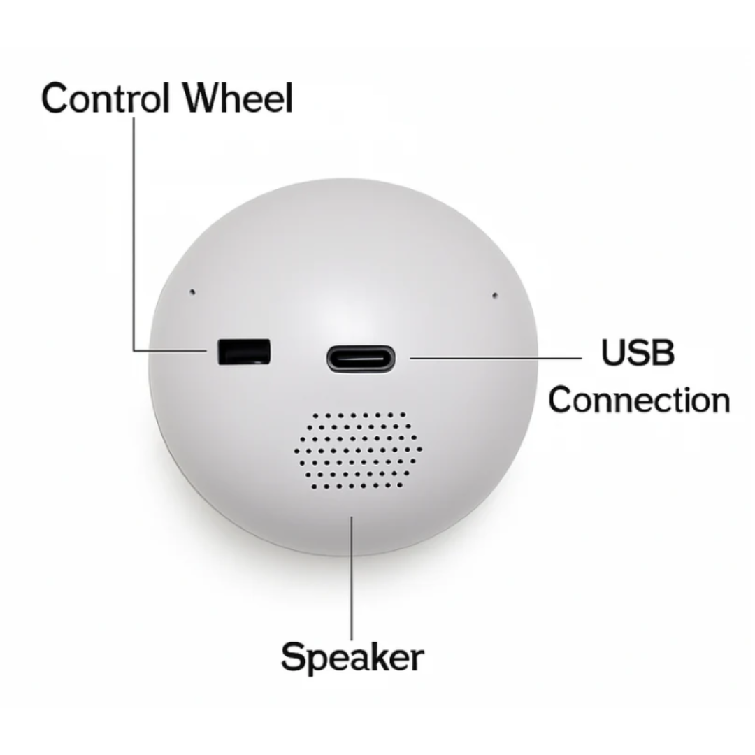 🔥Last Day 49% OFF🔥 Memory Ball Ornament✨