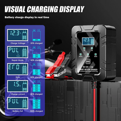 Smart Battery Charger, 6V and 12V, Battery Maintainer, For Lead-Acid & Lithium Batteries