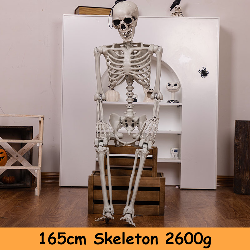 🎃2025 Halloween Sale💀 Skeleton Decoration – Spooky Vibes All Around! 👻