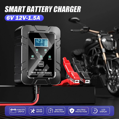 Smart Battery Charger, 6V and 12V, Battery Maintainer, For Lead-Acid & Lithium Batteries