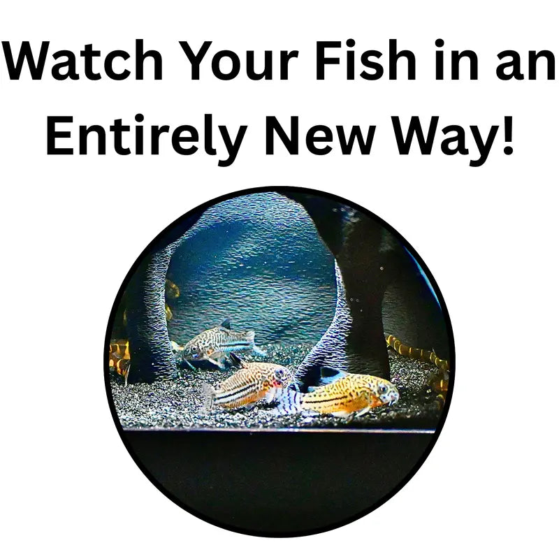 🐠 Aquarium Underground Tunnel Cave Collection 🦐