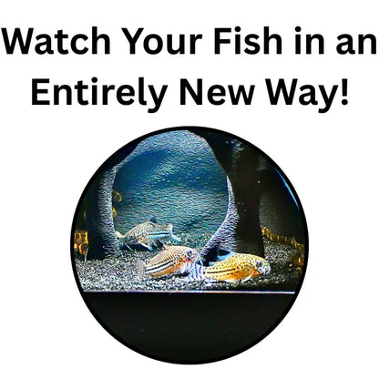 🐠 Aquarium Underground Tunnel Cave Collection 🦐