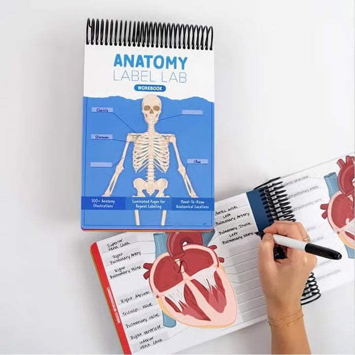 Anatomy Label Workbook 📘 – Skeleton Body Structure Diagram for Learning | Educational Student Study Supply 🦴✏️