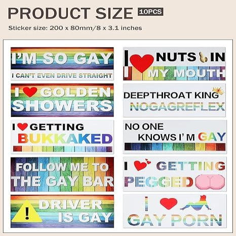 10 Pcs Bumper Decals Funny LGBT Stickers