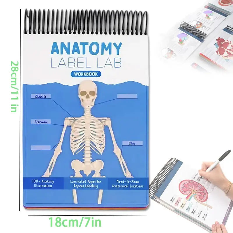 Anatomy Label Workbook 📘 – Skeleton Body Structure Diagram for Learning | Educational Student Study Supply 🦴✏️