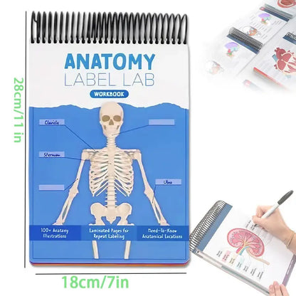 Anatomy Label Workbook 📘 – Skeleton Body Structure Diagram for Learning | Educational Student Study Supply 🦴✏️