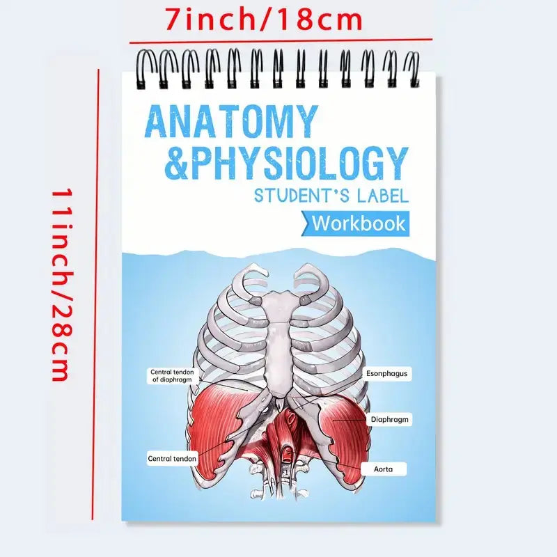 Anatomy Label Workbook 📘 – Skeleton Body Structure Diagram for Learning | Educational Student Study Supply 🦴✏️