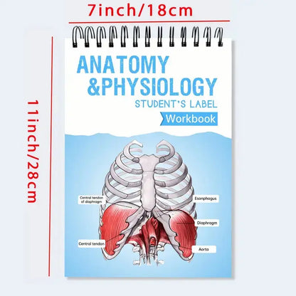 Anatomy Label Workbook 📘 – Skeleton Body Structure Diagram for Learning | Educational Student Study Supply 🦴✏️