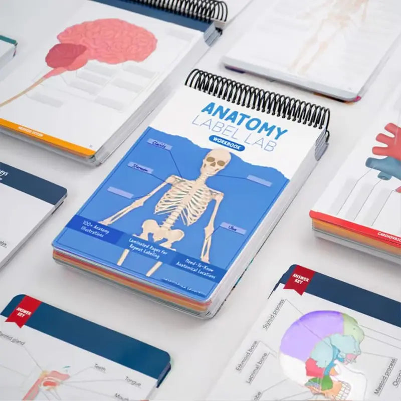 Anatomy Label Workbook 📘 – Skeleton Body Structure Diagram for Learning | Educational Student Study Supply 🦴✏️