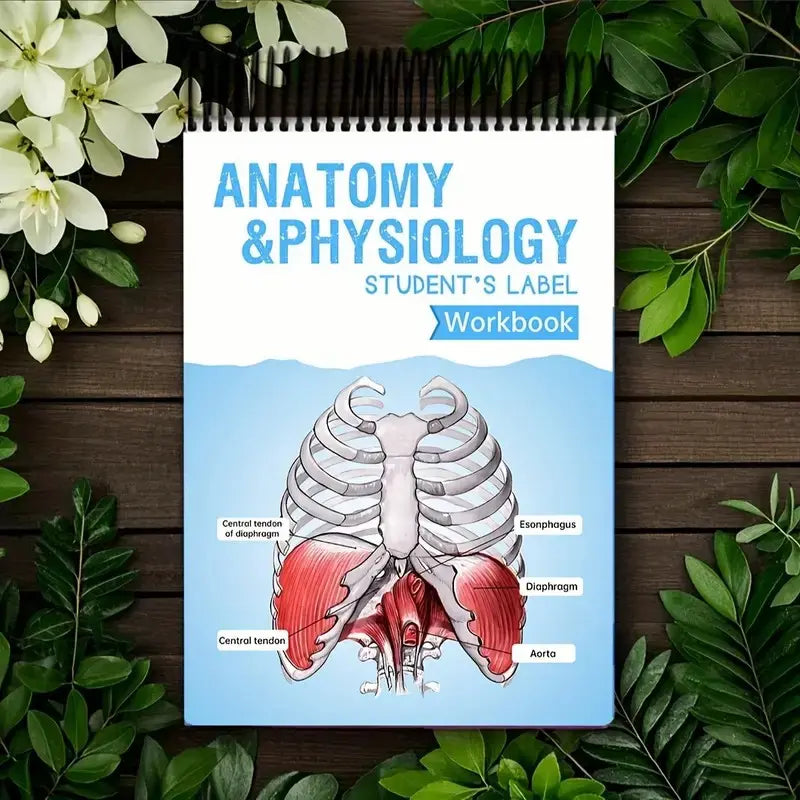 Anatomy Label Workbook 📘 – Skeleton Body Structure Diagram for Learning | Educational Student Study Supply 🦴✏️