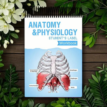 Anatomy Label Workbook 📘 – Skeleton Body Structure Diagram for Learning | Educational Student Study Supply 🦴✏️