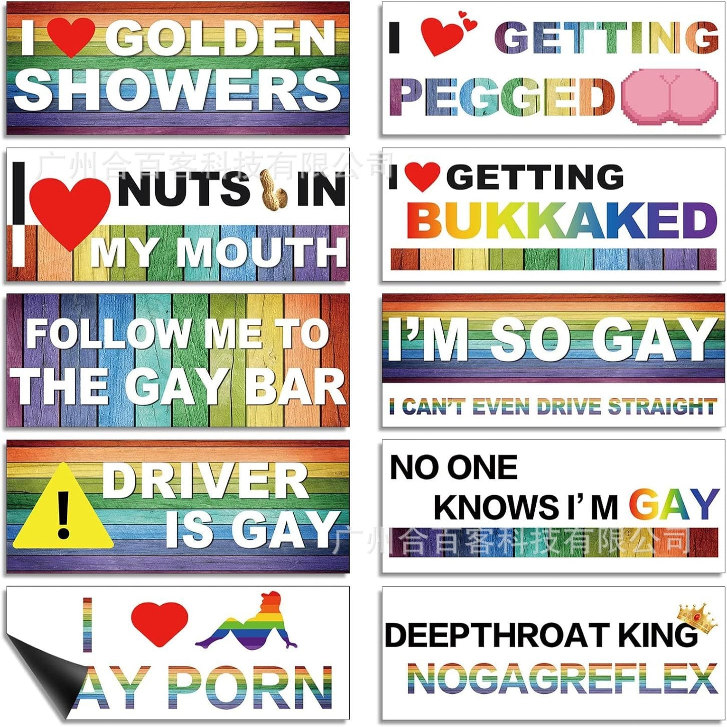 10 Pcs Bumper Decals Funny LGBT Stickers