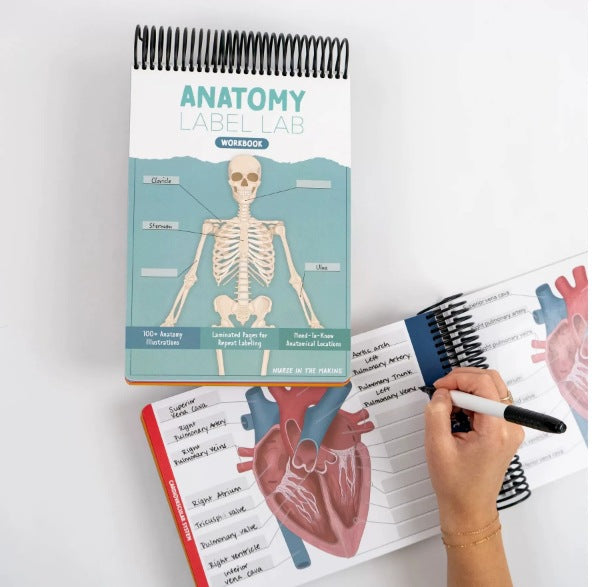 Anatomy Label Workbook 📘 – Skeleton Body Structure Diagram for Learning | Educational Student Study Supply 🦴✏️