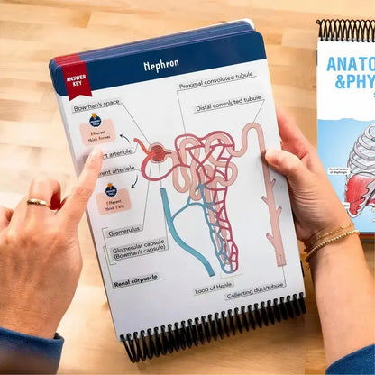 Anatomy Label Workbook 📘 – Skeleton Body Structure Diagram for Learning | Educational Student Study Supply 🦴✏️
