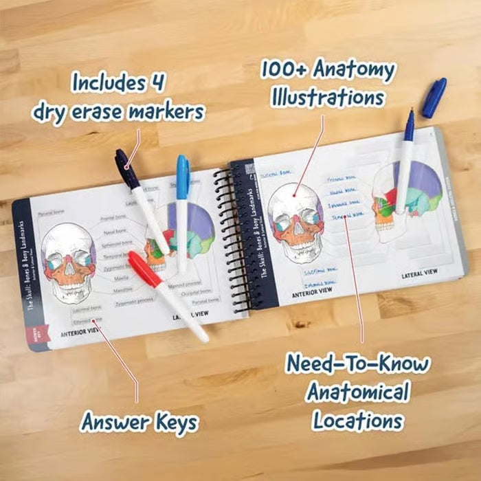 Anatomy Label Workbook 📘 – Skeleton Body Structure Diagram for Learning | Educational Student Study Supply 🦴✏️