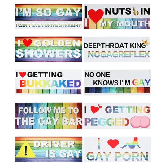 10 Pcs Bumper Decals Funny LGBT Stickers