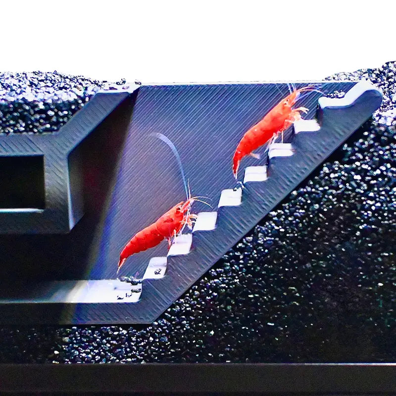 🐠 Aquarium Underground Tunnel Cave Collection 🦐