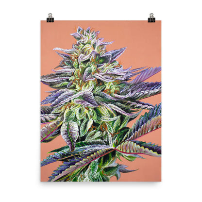 🔥 GROUP 7 FRAMED POSTER — “Mandarin Cookies” (18x24) 🖼️